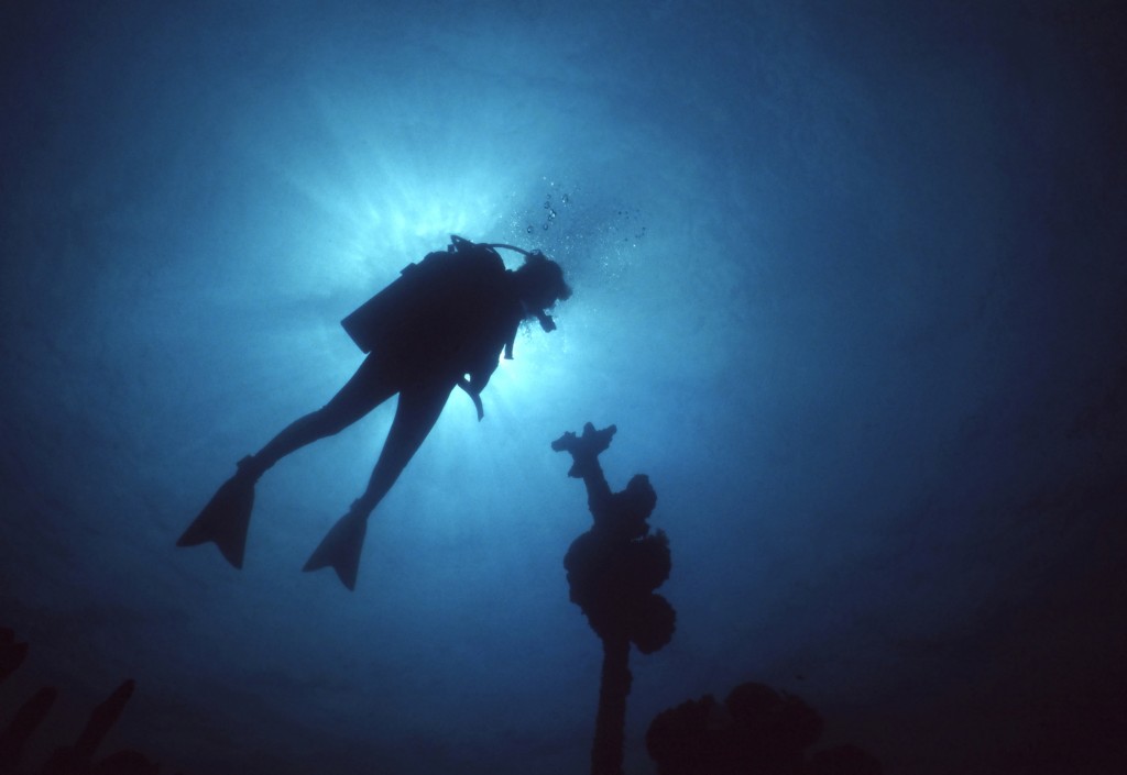 Silhouette of scuba diver