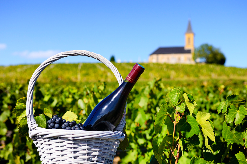 bottle of red wine in countryside