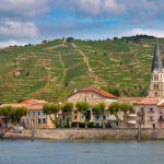 Vineyards-Cote-du-Rhone-iStock_000089767667_Small